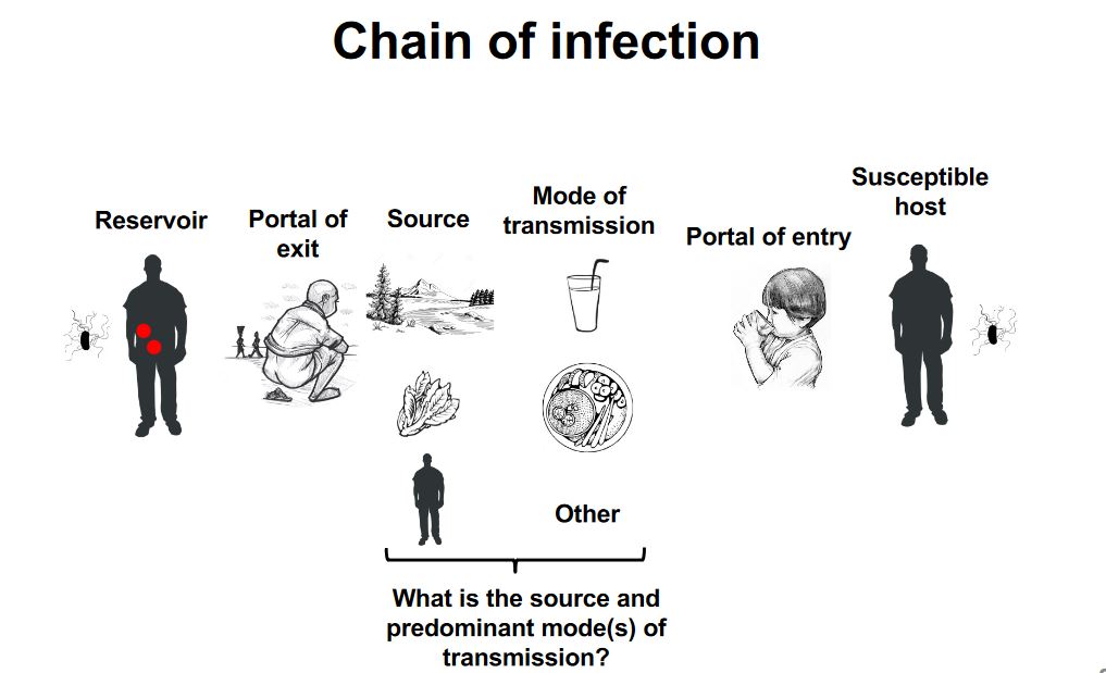 A Vaccination Series Typhoid Fever The Cognitive Warrior Project