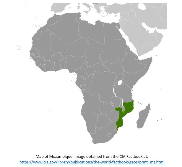 Featured Article: Mozambique police: Islamists behead 50 people in troubled province – DW